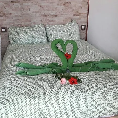 Lejlighed Green Top Studio *